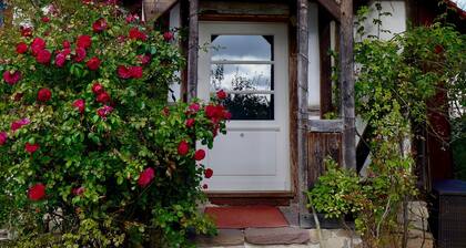 tutkia Tyylikäs puoli-puutalo Etelä Harz luonnonpuisto rentoutua ja hartsin