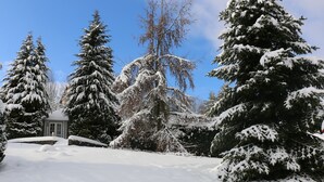 Un paysage enneigé, avec de grands arbres à feuilles persistantes et un petit bâtiment en arrière-plan.