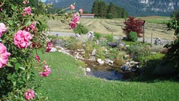 Un paysage montagneux, avec un ciel dégagé, un petit ruisseau et, au premier plan, des fleurs roses en pleine floraison.
