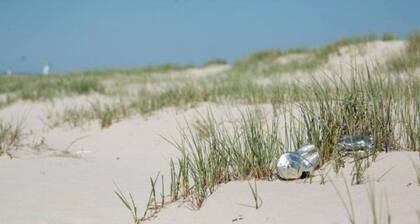 **** Apartment near the beach in Sankt Peter-Ording