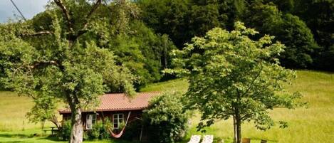 المنطقة المحيطة بالمنشأة