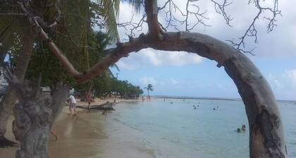 Seasonal rental Comfortable furnished studio