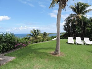 Property grounds - PAPAYE, charming Creole villa with swimming pool and panoramic sea view (Saint-François)