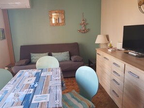 Televisio, DVD-soitin, kirjoja, stereot