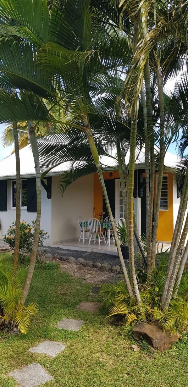A small house with a porch, surrounded by palm trees and a grassy area.
