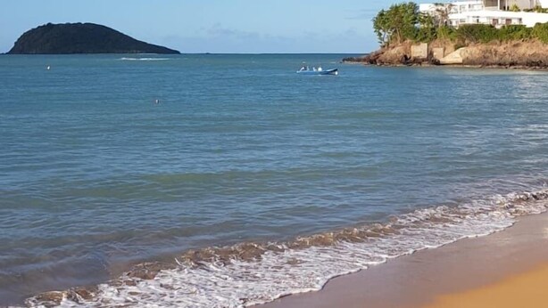 Ein Strand mit klarem, blauem Wasser, einem sandigen Ufer und einer kleinen Insel in der Ferne.