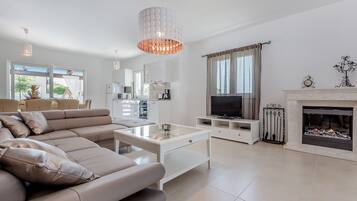 TV, fireplace, DVD player, books