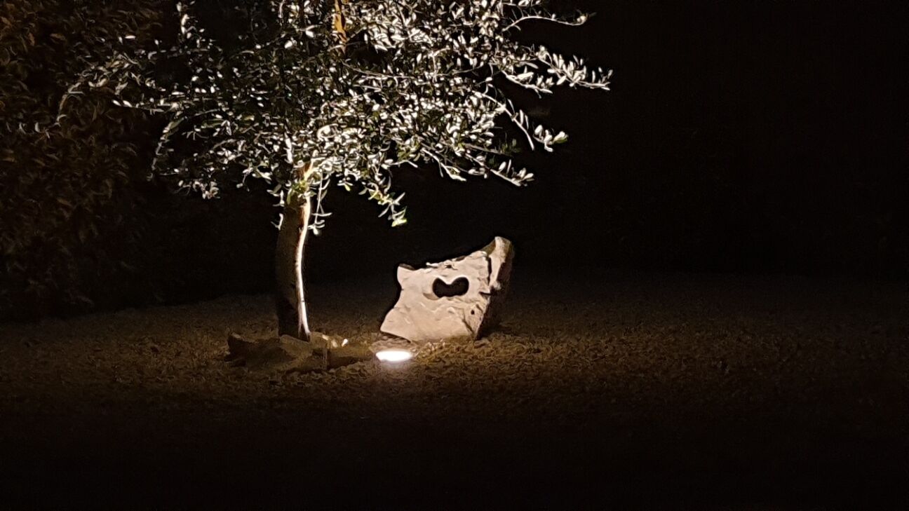 Ein Baum mit einer herzförmigen Aussparung im Stamm, eine Steinfläche und eine Taschenlampe auf dem Boden.