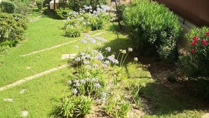 Ein Garten mit verschiedenen Pflanzen und Blumen, einem Weg und einem Gebäude im Hintergrund.