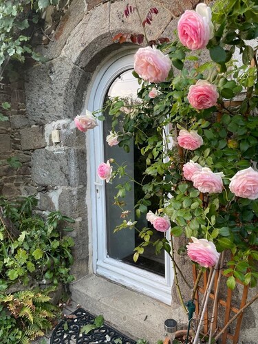 Gite Breton house close to the Rance and the sea Saint-Malo Dinard Cancale