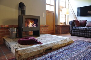 TV, fireplace, books, stereo