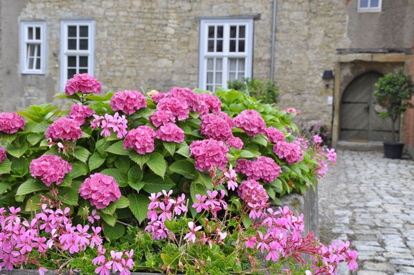Experience the charm of a traditional stone building with a quaint courtyard, complete with a lush display of hydrangea flowers and classic cobblestone paving.