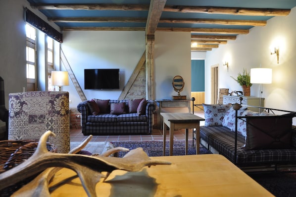 Télévision, cheminée, livres, chaîne hi-fi