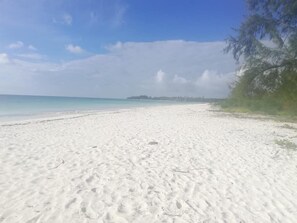 Beach nearby - Zeru Zeru (Michamvi)