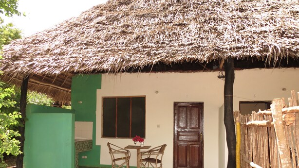A house with a thatched roof, a green exterior wall, and a tiled porch. - Zeru Zeru (Michamvi)