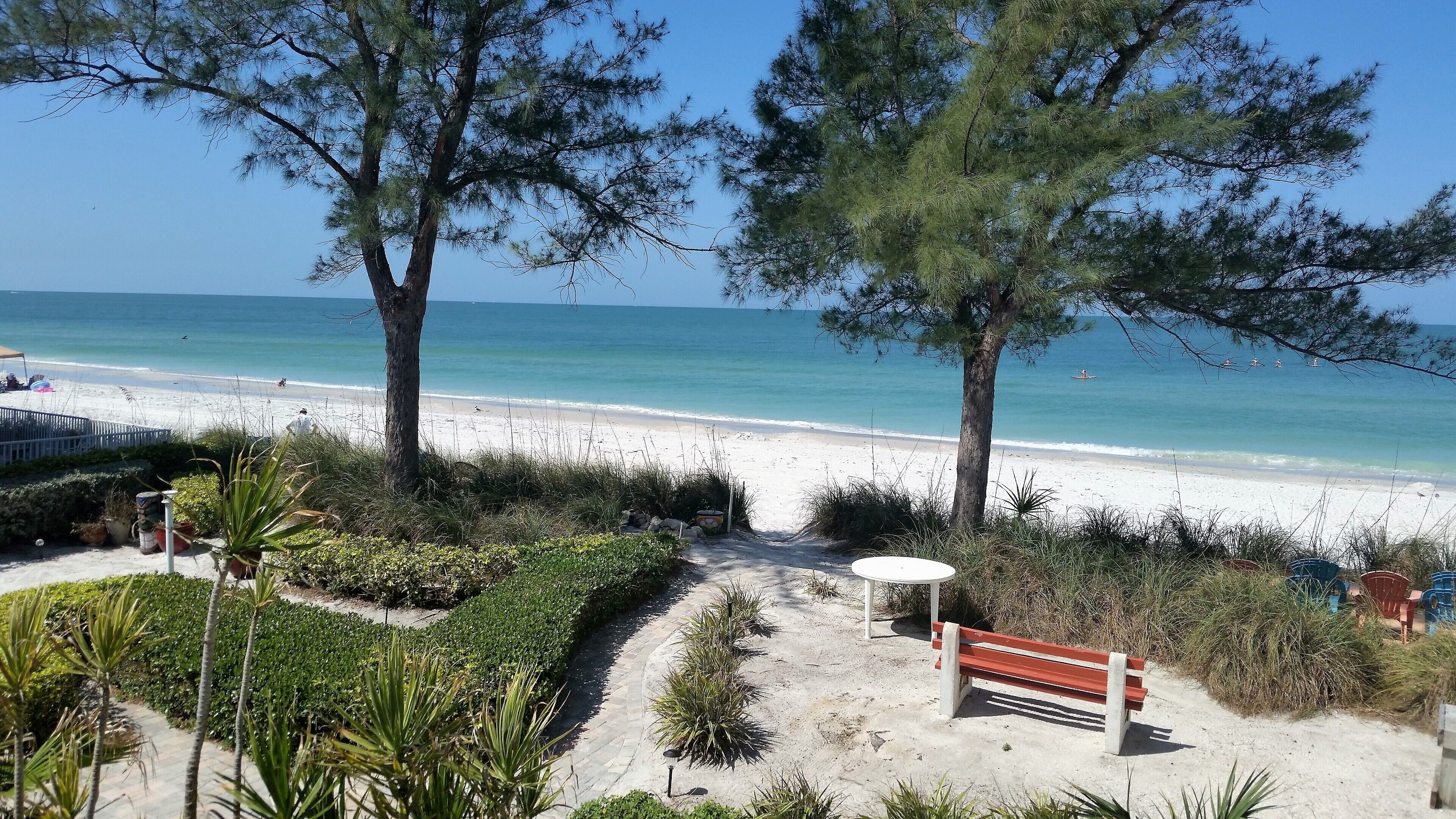 Beach Front  'Parrotdise' Private with Beautiful Sunset Views