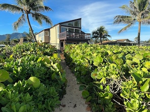 Una casa moderna con un balcone, immersa nel verde e circondata da palme.