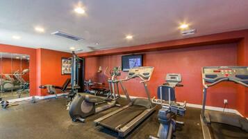 A gym with treadmills, elliptical machines, and weight benches.