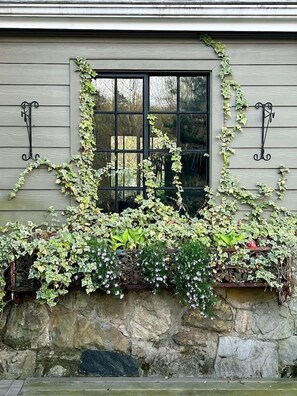 A building with a window, stone wall, and ivy. - The Forest Door - Studio Suite in Stone Cottage (Tryon)