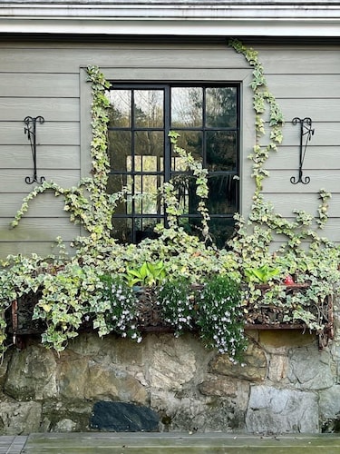 The Forest Door - Studio Suite in Stone Cottage