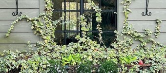 The Forest Door - Studio Suite in Stone Cottage