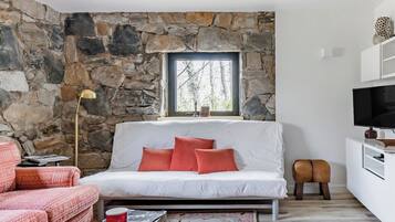 Smart-tv och böcker