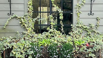 外观细节