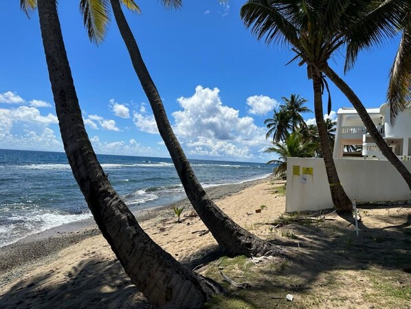 A beach with palm trees, a white building, and a view of the ocean. - Cozy Beachfront Home in Patillas-Private Pool & Stunning Ocean Views-Sleeps 8 (patillas)
