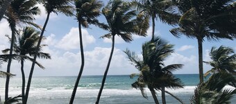 Cozy Beachfront, Private Pool & Stunning Ocean Views!