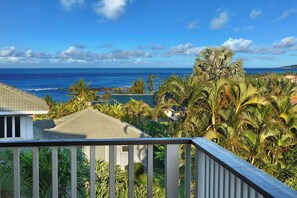 Property grounds - Hale Hapuna - Poipu's Best Ocean and Mountain Views (Koloa)