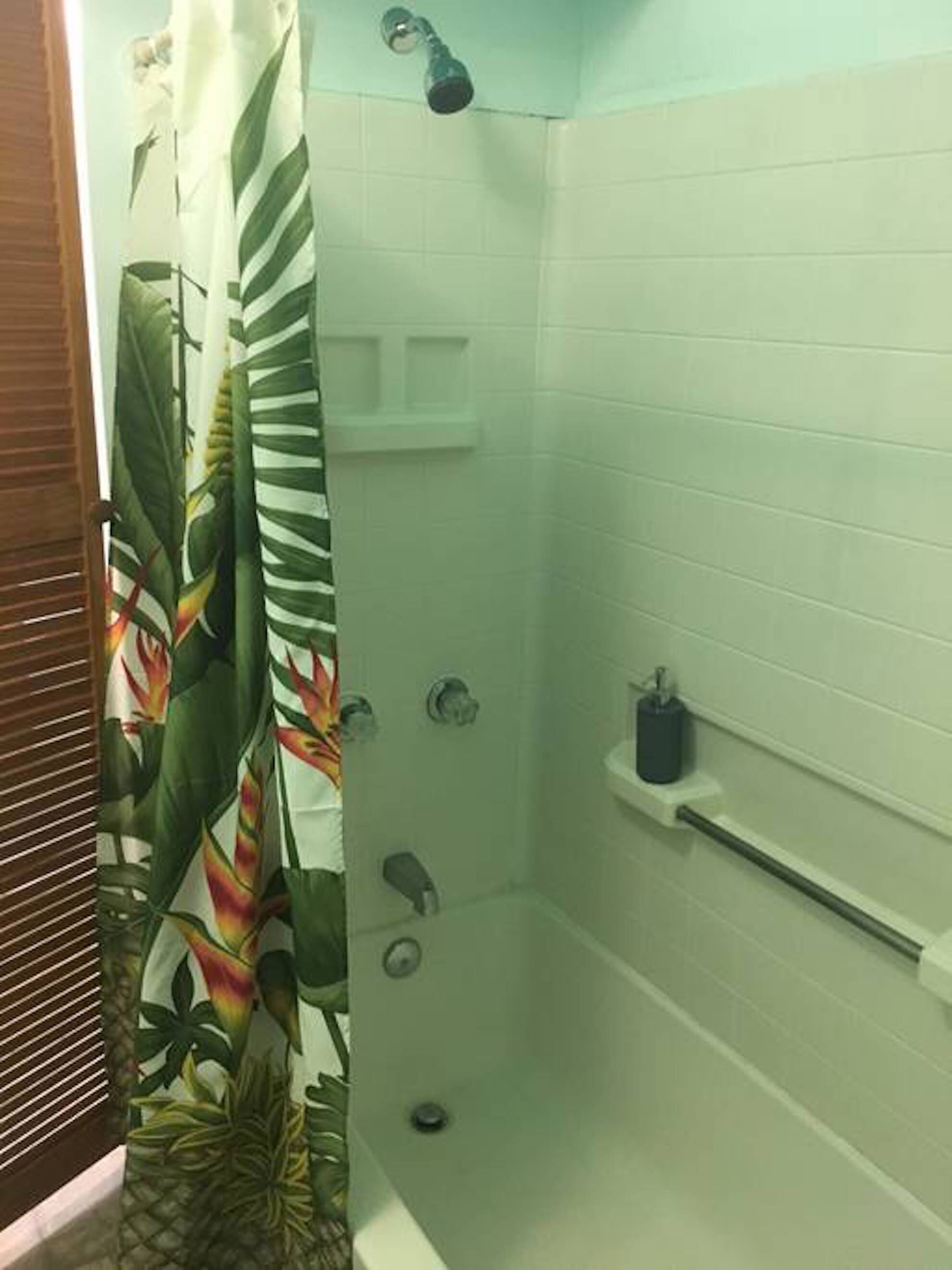 Ensemble douche/baignoire, sèche-cheveux, serviettes fournies