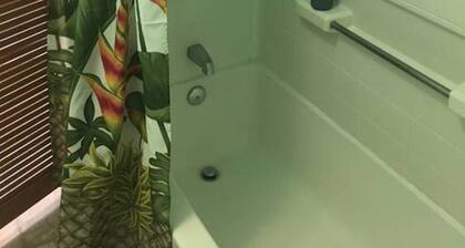 one bedroom Loft Apartment in the heart of Downtown Hilo
