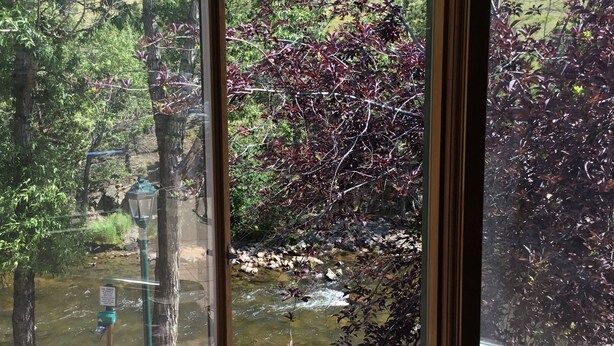 Blick aus einem Fenster auf eine natürliche Landschaft mit Bäumen, einem Bach und einer befestigten Fläche.
