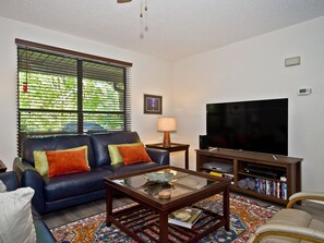 Smart TV, fireplace, DVD player, books