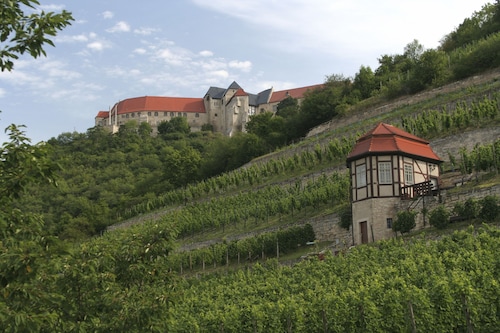  Large family friendly apartment with terrace, 