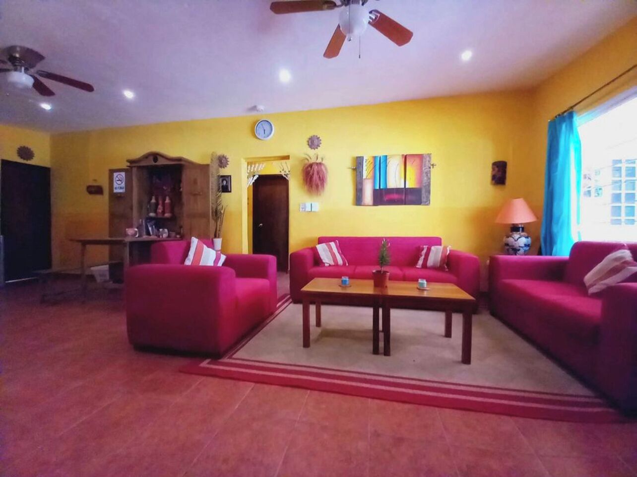 Smart TV, DVD player, books