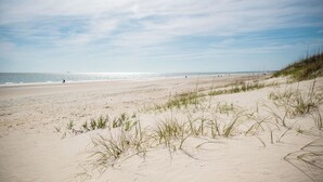 Una spiaggia sabbiosa con dune e vegetazione rada.