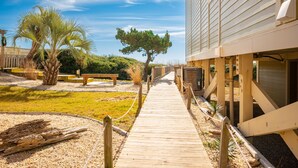 Un sentier en bois mène à un bâtiment doté d’un toit en pente, entouré de palmiers et d’une zone herbeuse.