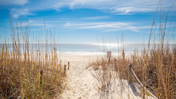 Un sentier de sable qui longe la plage et mène à l’océan, bordé de hautes herbes.