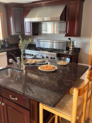 Fridge, microwave, oven, stovetop - PRIVATE Luxury Lake Home with 5+ BR and Gourmet Kitchen-22 Foot Pontoon Included (Alexandria)