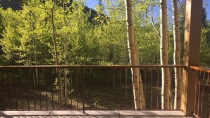 A balcony with a metal railing overlooking a forest of birch trees.