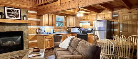 Télévision, cheminée, lecteur de DVD