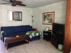 Smart TV, DVD player, books, video library