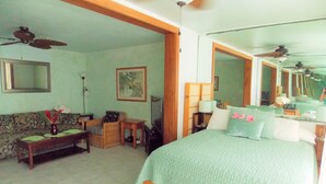 A bedroom with a bed, a sofa, a chair, a television, and a ceiling fan.