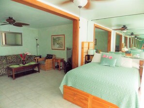 Iron/ironing board, free WiFi, bed sheets, wheelchair access