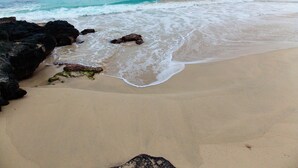 A beach with rocky outcrops and waves.