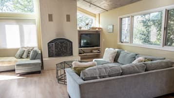 Smart TV, chimenea, videojuegos y reproductor de DVD