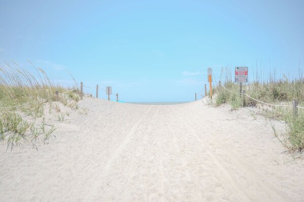On the beach