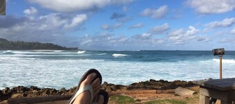 Beautiful Renovated Condo 'Surfer Hale'