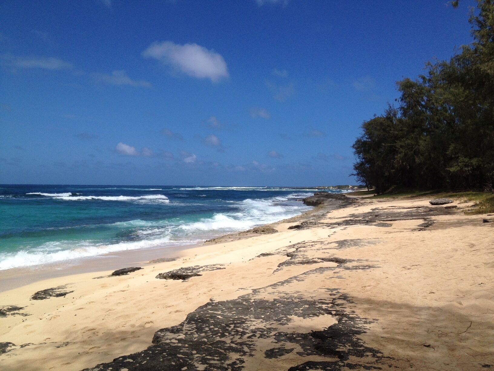 A beach with clear blue water, sandy shore, and a line of trees.